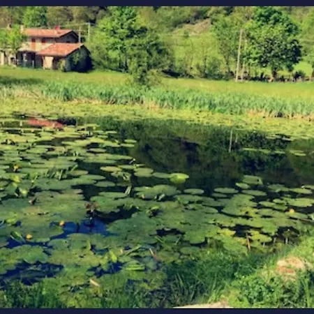 Сasa de vacaciones Di -