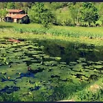 Semesterbostad Di -
